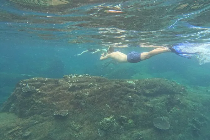 Guests snorkeling together over the coral reef on the private Angel Rock boat trip