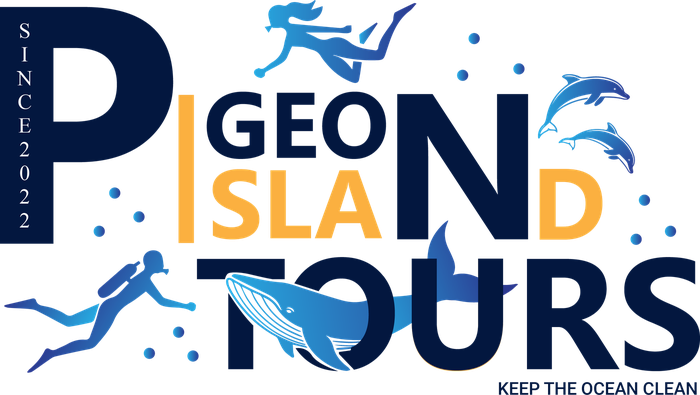 Pigeon Island Tours — Keep the Ocean Clean