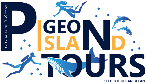 Pigeon Island Tours