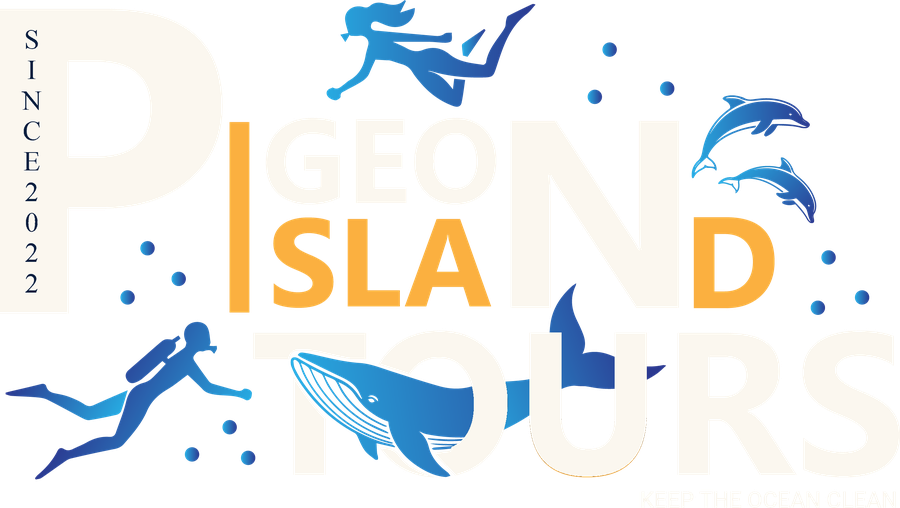 Pigeon Island Tours