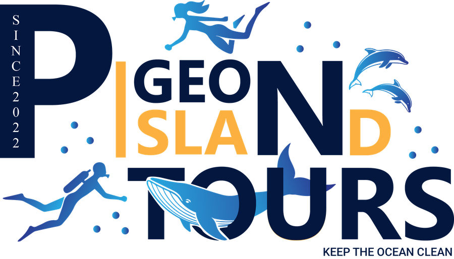 Pigeon Island Tours — Nilaveli, Sri Lanka. Keep the ocean clean.
