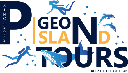 Pigeon Island Tours — Nilaveli, Sri Lanka. Keep the ocean clean.