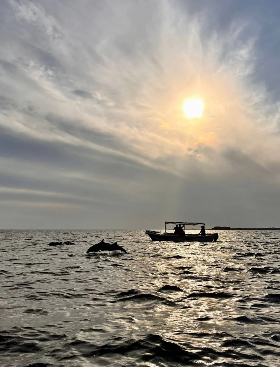 Private dolphin watching boat tour at sunrise near Nilaveli with dolphins leaping