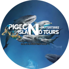 PIGEON ISLAND TOURS