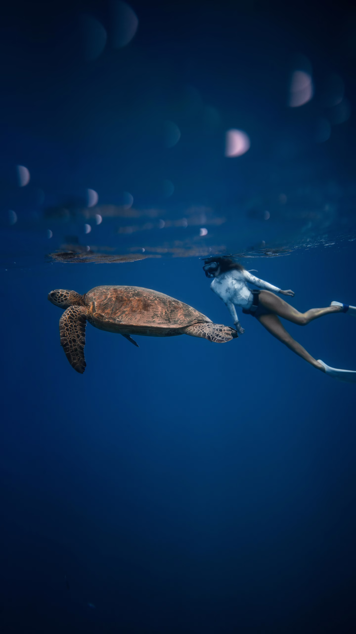 Snorkeling Trip To Pigeon Island