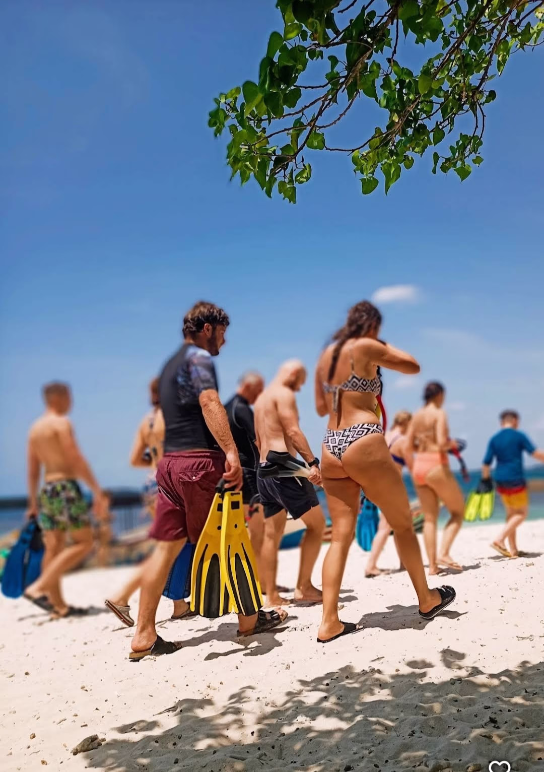 Snorkeling Trip To Pigeon Island